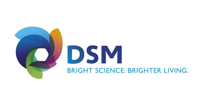 DSM Protective Materials